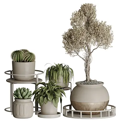 Indoor plant 225