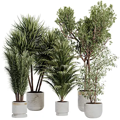Minimal Indoor Decorative Plant 009