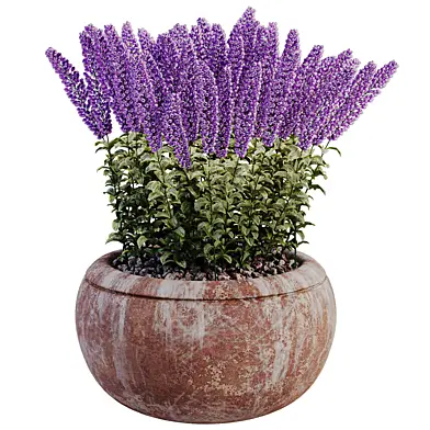 Minimal Outdoor Decorative Plant 001