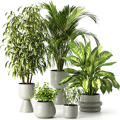 Plant Set 22