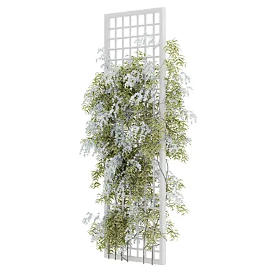 Flowering Grid Climber Plant_05_11