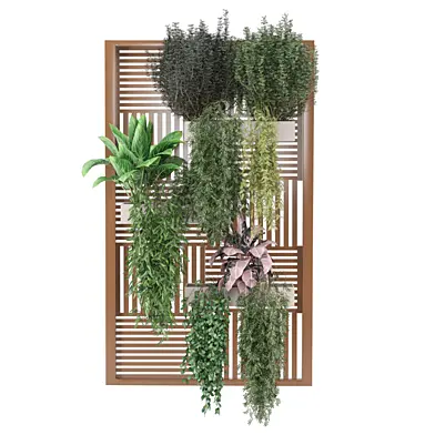 indoor hanging Plants Collection 2698