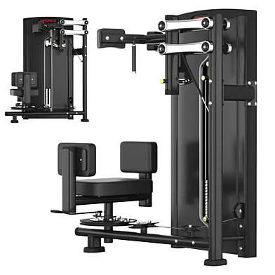 Rotary Torso machine Befitnow
