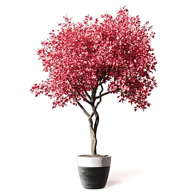 Spring Tree - Variegated Tree 531