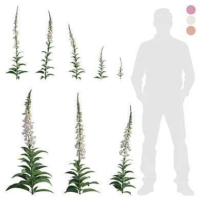 outdoor plant 003
