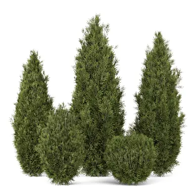 Outdoor Plants Bush_Bush Set 4591