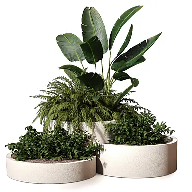 plants - Outdoor Tropical Garden Plants 560