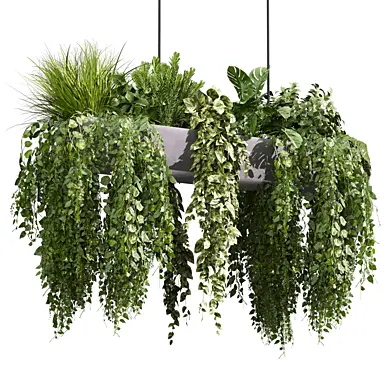 plant vol 1148