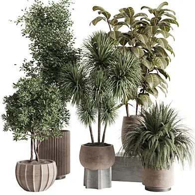 indoor plant set 156