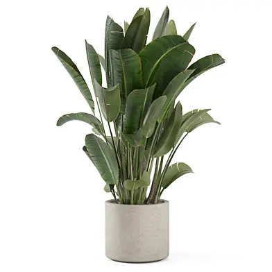 Indoor Plants Ferm Living Bau Pot Large_Set 4625