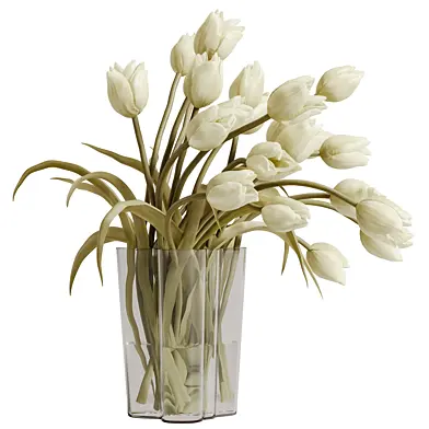 plants bouquet vase 120 White tulips