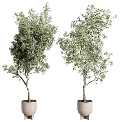 Olive Tree in a Metal pot - set indoor plant 819