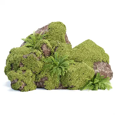 Mossy rock garden with plants collection 505