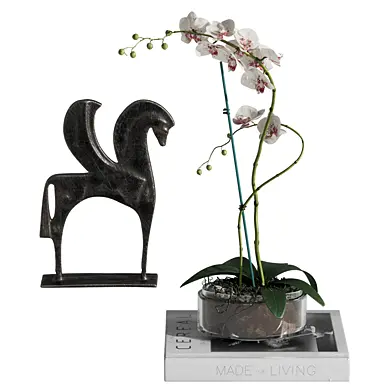 Orchid Flower 63