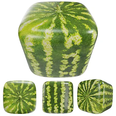 Watermelon square PBR