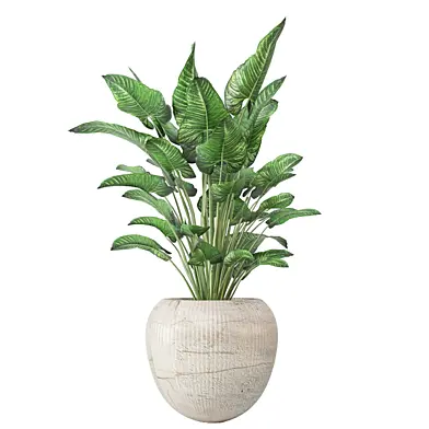 indoor Plants Collection 2738