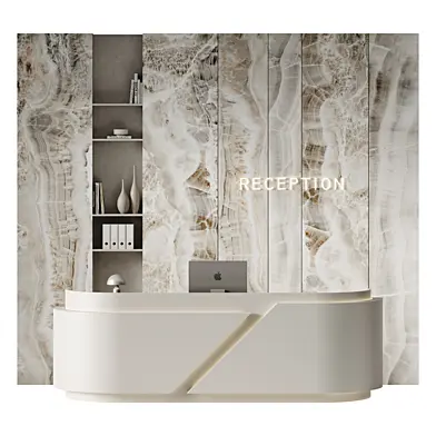 minimalistic reception in a modern style 14