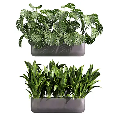 plant vol 1170