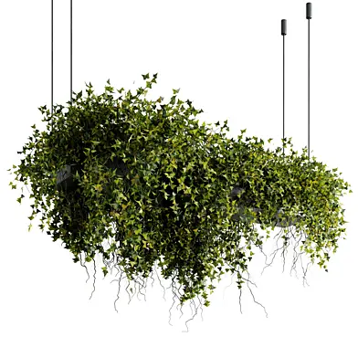 Hanging pot- Indoor plant 828