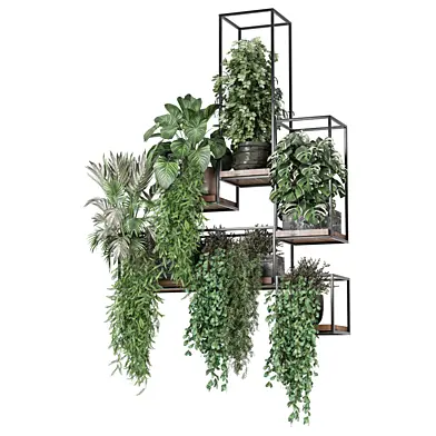 indoor hanging plants in wooden shelf 2751