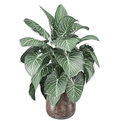 indoor Plants Collection 2752