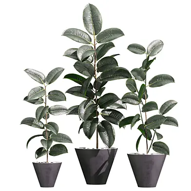 plant vol 1182