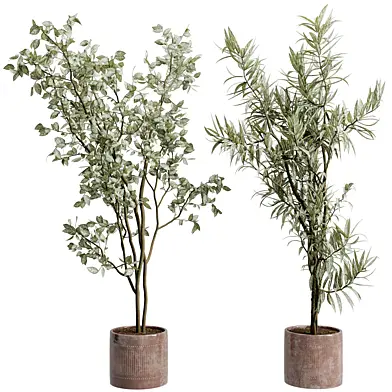 indoor plant 833 pot plant palm ceramics dirt vase