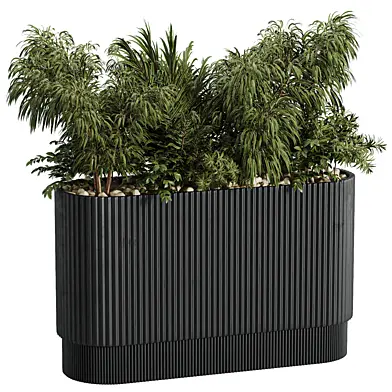 Minimal Indoor Decorative Plant 012