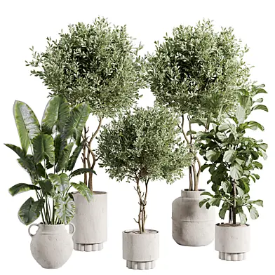 Indoor plant A728