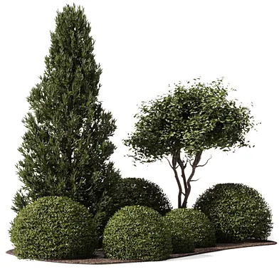 Outdoor Plants - Landscape Backyard Garden 622