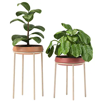 Modern Pot Plant 02 – TOSCO Planter