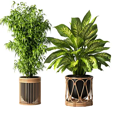 Boho Pot Plants 23