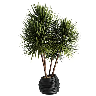 Minimal Indoor Decorative Plant 018