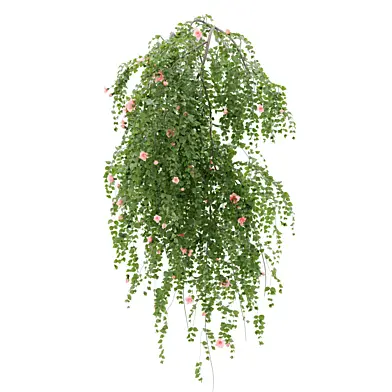 Wall Hanging Rose Summer 23