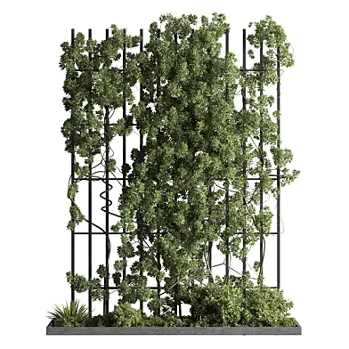 Garden Plants - Outdoor Plants 770