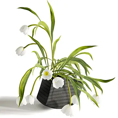 plants bouquet 057