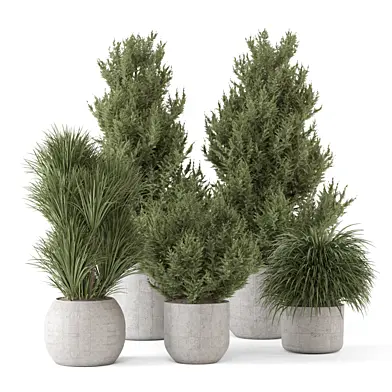 Outdoor Plants Pine Bush and Tree_Set 4760