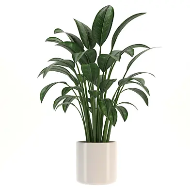 indoor