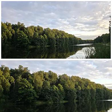 Nature Panorama