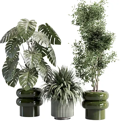 High-Poly Indoor Plants Collection set 160