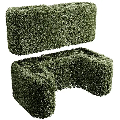 Hedge Box Topiary Bush - Outdoor Plant set 276