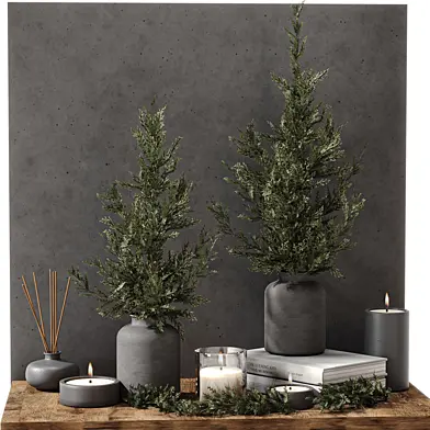 Decorative Set 650