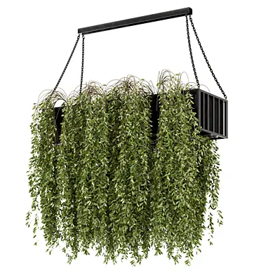 Indoor Hanging Plants Metal Box_Set 8484