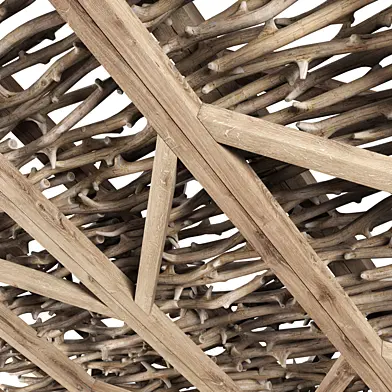 Beam ceiling n17