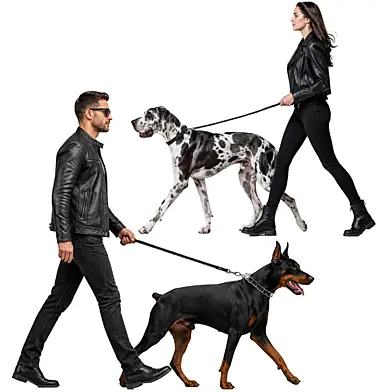 People Walking Dogs Cut-Out Collection