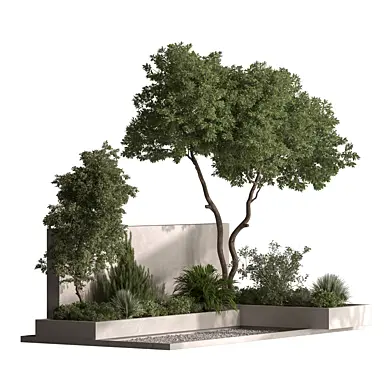 Garden Plant - Outdoor Plants 785