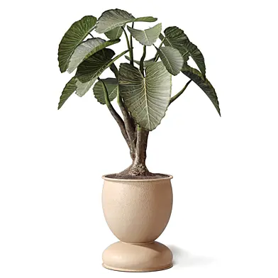 Plant 685