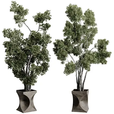 Tree Branch Plant in a Stone pot - Outdoor Plants 286