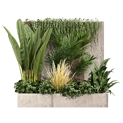 plant vol 1260 - garden - palm - grass - banana