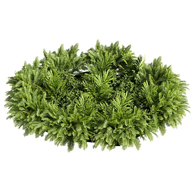plant vol 1270 - fern - garden - palm